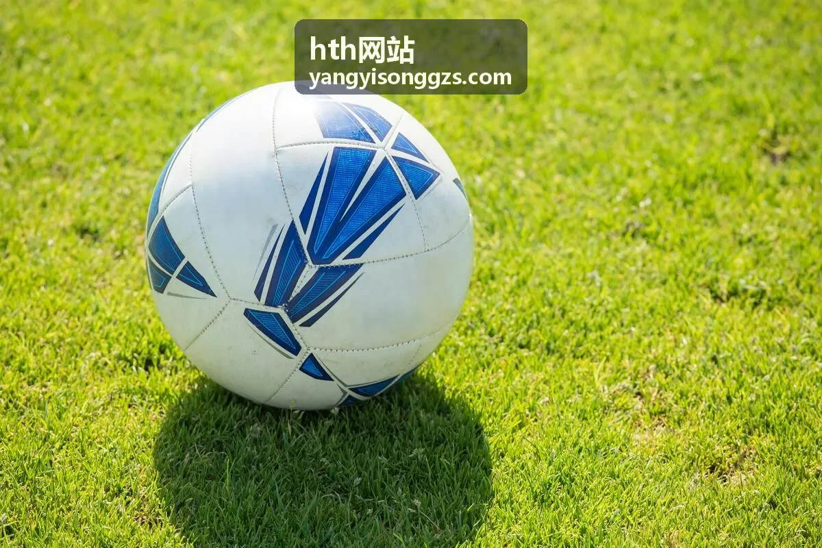 hth网站运维托管方案配图